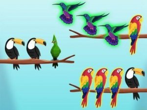 Bird Sort: Color Sort Puzzle Game