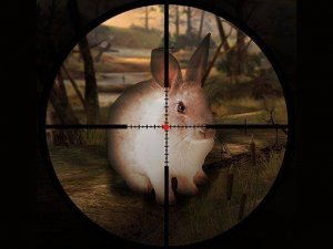 Classical Rabbit Sniper Hunting 2019 Online Game