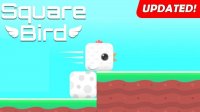 Square Bird Online Game