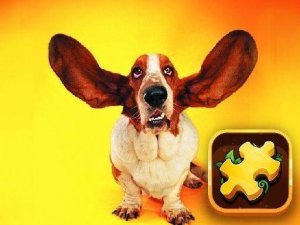 Funny Dogs Puzzle Online Game