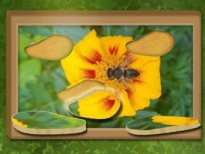 Find & Restore: Hidden Puzzle Game
