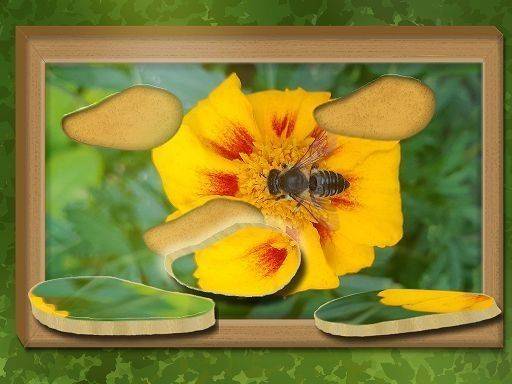 Find & Restore: Hidden Puzzle Game Online - Puzzle Game